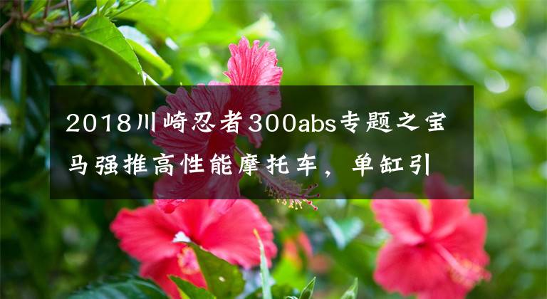 2018川崎忍者300abs专题之宝马强推高性能摩托车，单缸引擎媲美5系！川崎忍者300该买谁？