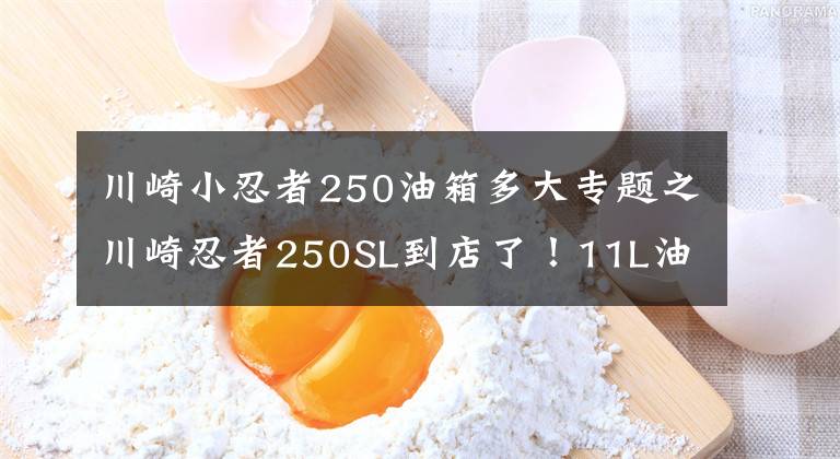 川崎小忍者250油箱多大专题之川崎忍者250SL到店了！11L油箱+249CC引擎+6速，你选机车还是汽车