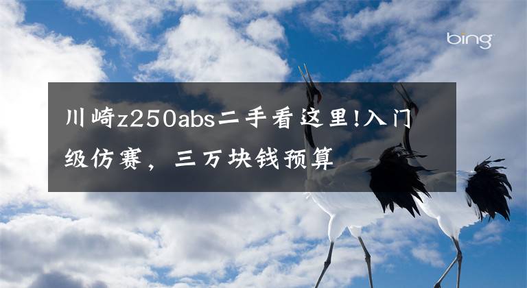 川崎z250abs二手看这里!入门级仿赛，三万块钱预算