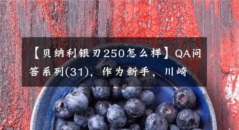 【贝纳利银刃250怎么样】QA问答系列(31)，作为新手，川崎昭信能驾驭吗？