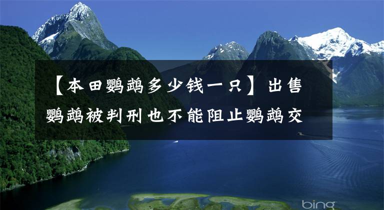 【本田鹦鹉多少钱一只】出售鹦鹉被判刑也不能阻止鹦鹉交易市场的“繁荣”