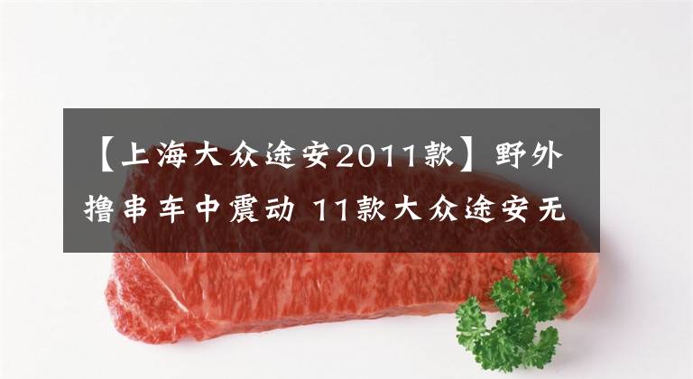 【上海大众途安2011款】野外撸串车中震动 11款大众途安无所不能