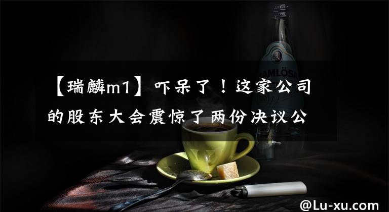 【瑞麟m1】吓呆了！这家公司的股东大会震惊了两份决议公告！发生什么事了？