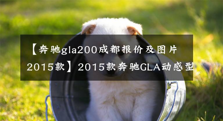 【奔驰gla200成都报价及图片2015款】2015款奔驰GLA动感型20万搞定，果断删掉奥迪的联系方式