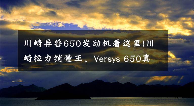 川崎异兽650发动机看这里!川崎拉力销量王，Versys 650真香