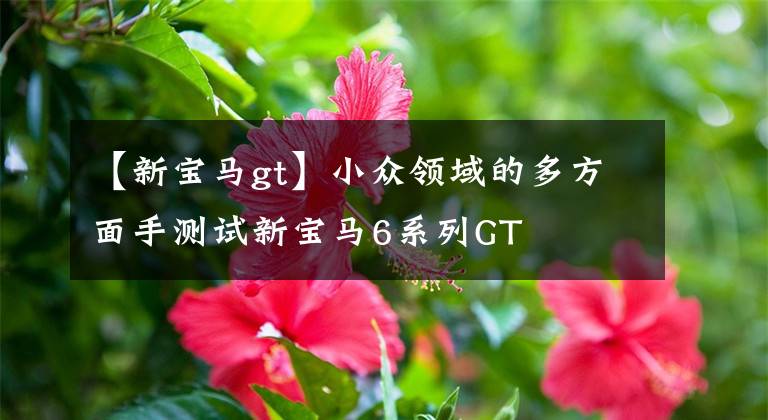 【新宝马gt】小众领域的多方面手测试新宝马6系列GT