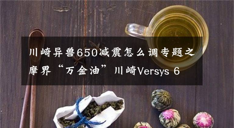 川崎异兽650减震怎么调专题之摩界“万金油”川崎Versys 650