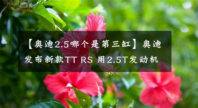 【奥迪2.5哪个是第三缸】奥迪发布新款TT RS 用2.5T发动机/加速3.7秒