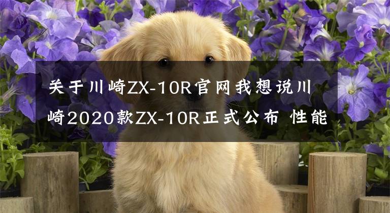 关于川崎ZX-10R官网我想说川崎2020款ZX-10R正式公布 性能配置略有提升