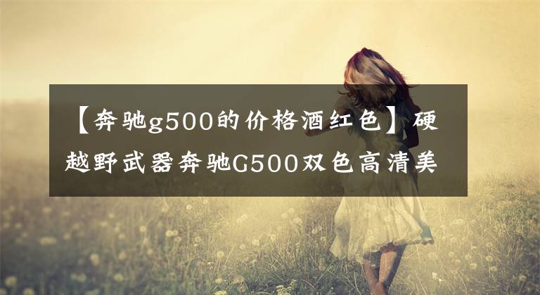 【奔驰g500的价格酒红色】硬越野武器奔驰G500双色高清美容图欣赏