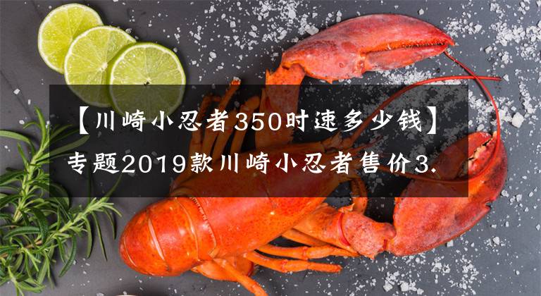 【川崎小忍者350时速多少钱】专题2019款川崎小忍者售价3.8万