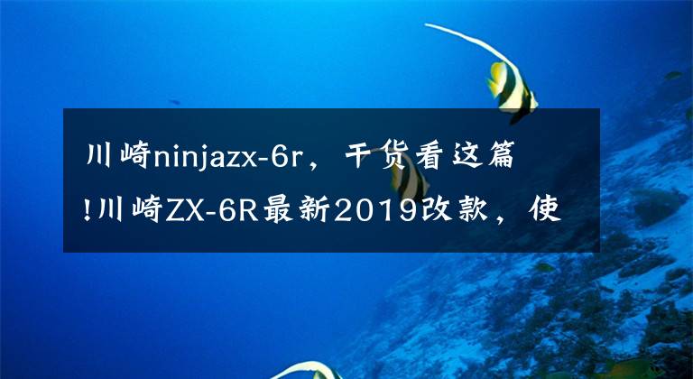 川崎ninjazx-6r，干货看这篇!川崎ZX-6R最新2019改款，使用全新家族式外观