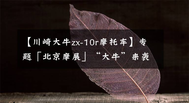 【川崎大牛zx-10r摩托车】专题「北京摩展」“大牛”来袭！川崎正式发布Ninja ZX-10R/10RR，售价23.68万元起