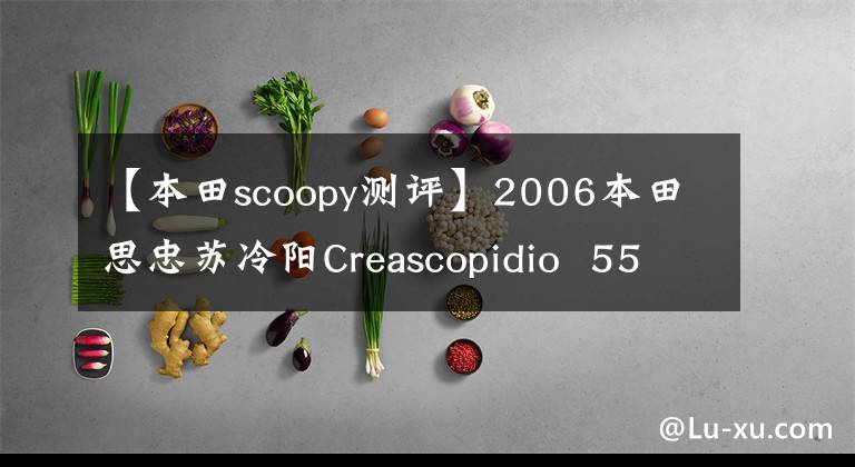 【本田scoopy测评】2006本田思忠苏冷阳Creascopidio  55期乌龟(视频高清)