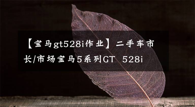 【宝马gt528i作业】二手车市长/市场宝马5系列GT  528i