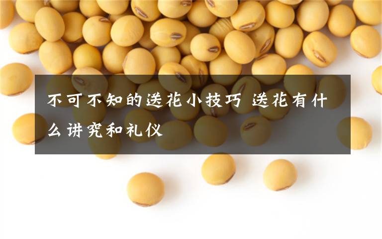 不可不知的送花小技巧 送花有什么讲究和礼仪文章配图