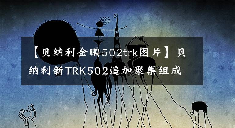 【贝纳利金鹏502trk图片】贝纳利新TRK502追加聚集组成