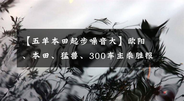 【五羊本田起步噪音大】欧阳、本田、猛兽、300车主乘胜报告。