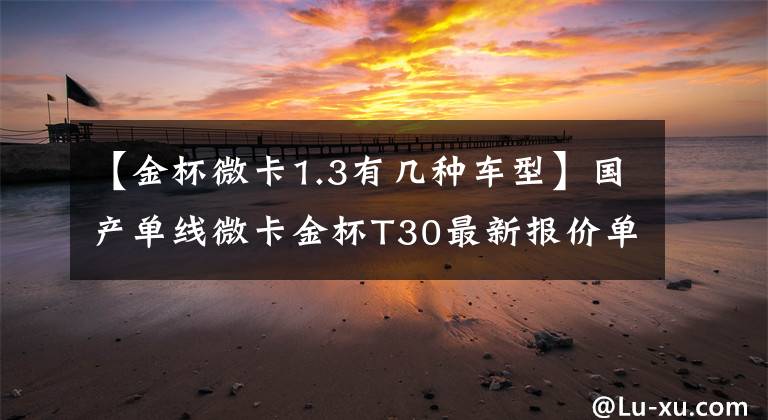 【金杯微卡1.3有几种车型】国产单线微卡金杯T30最新报价单金杯T30照片欣赏