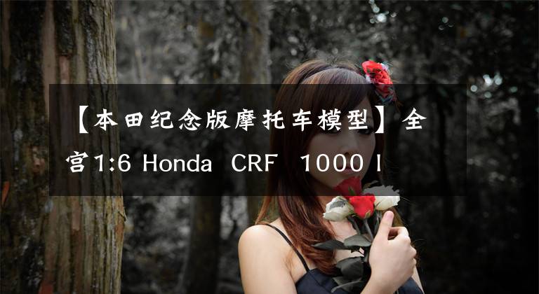 【本田纪念版摩托车模型】全宫1:6 Honda  CRF  1000 l  Africa  twin  |模型作品