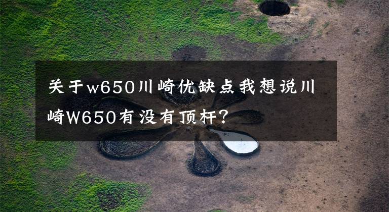 关于w650川崎优缺点我想说川崎W650有没有顶杆？