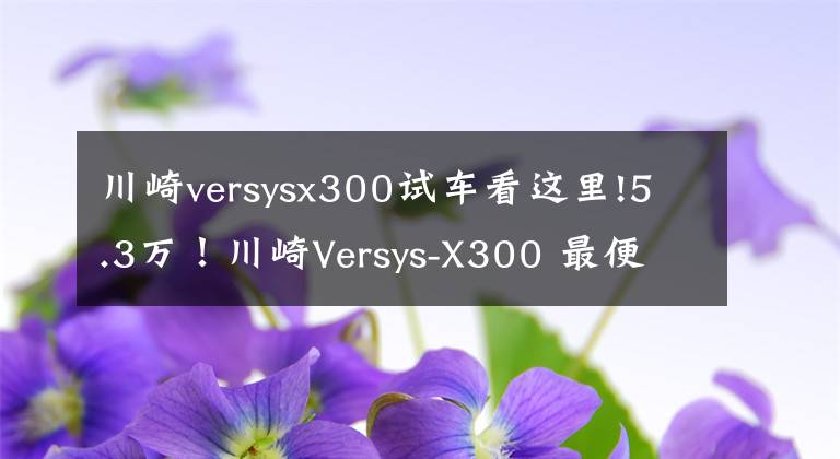 川崎versysx300试车看这里!5.3万！川崎Versys-X300 最便宜的进口双缸拉力