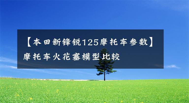 【本田新锋锐125摩托车参数】摩托车火花塞模型比较