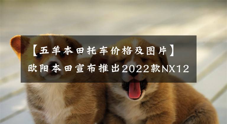 【五羊本田托车价格及图片】欧阳本田宣布推出2022款NX125S，更换为新涂层