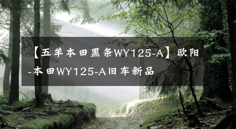 【五羊本田黑条WY125-A】欧阳-本田WY125-A旧车新品