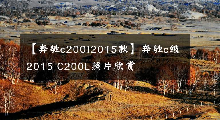 【奔驰c200l2015款】奔驰c级2015 C200L照片欣赏