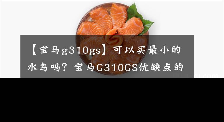 【宝马g310gs】可以买最小的水鸟吗？宝马G310GS优缺点的深入分析