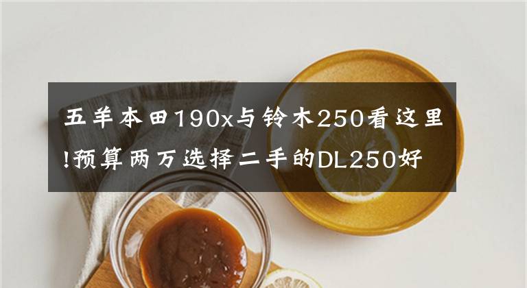 五羊本田190x与铃木250看这里!预算两万选择二手的DL250好，还是一手的猛鸷190X好？