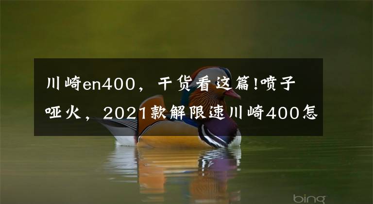 川崎en400，干货看这篇!喷子哑火，2021款解限速川崎400怎么选？