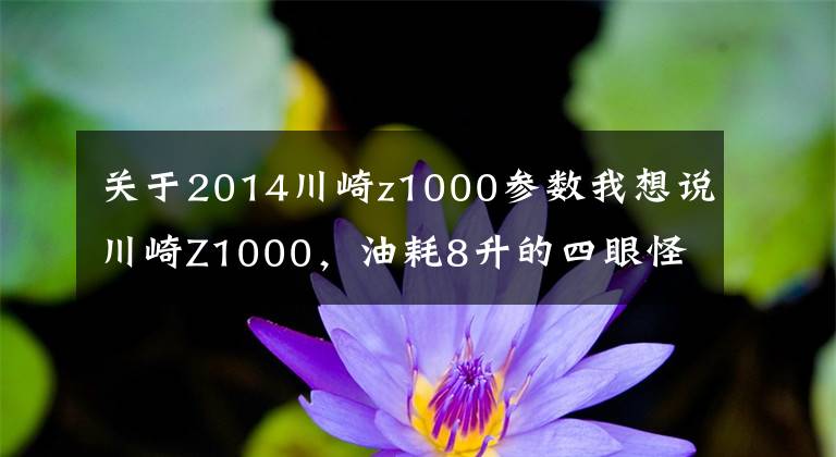 关于2014川崎z1000参数我想说川崎Z1000，油耗8升的四眼怪兽，打得过吗？