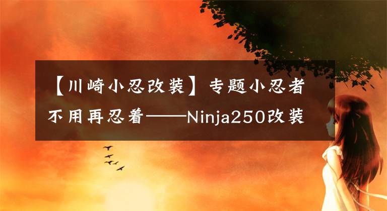 【川崎小忍改装】专题小忍者不用再忍着——Ninja250改装示范