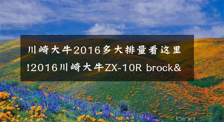 川崎大牛2016多大排量看这里!2016川崎大牛ZX-10R brock's全段排气