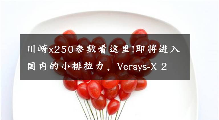 川崎x250参数看这里!即将进入国内的小排拉力，Versys-X 250试骑报告