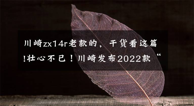 川崎zx14r老款的，干货看这篇!壮心不已！川崎发布2022款“六眼魔神”——Ninja ZX-14R