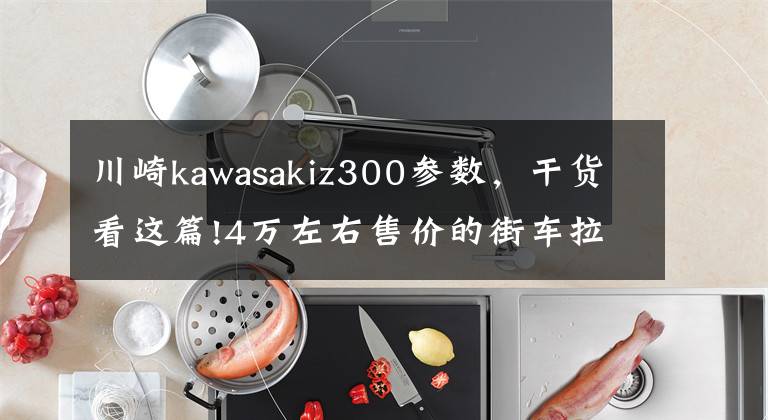 川崎kawasakiz300参数，干货看这篇!4万左右售价的街车拉力摩托，颜值爆表