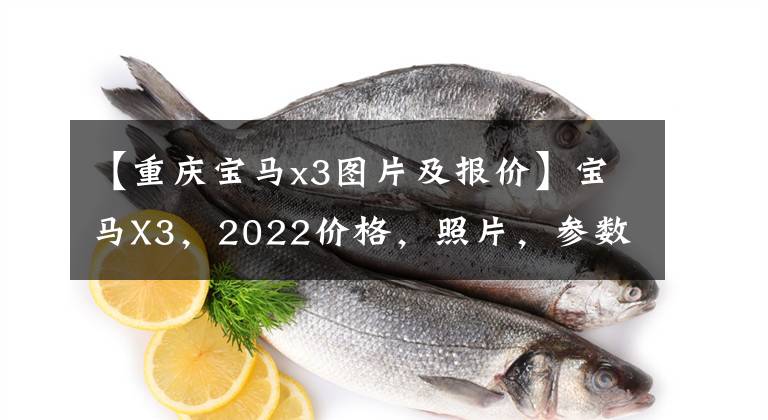 【重庆宝马x3图片及报价】宝马X3，2022价格，照片，参数，型号