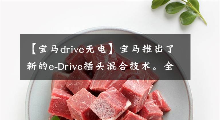 【宝马drive无电】宝马推出了新的e-Drive插头混合技术。全家人都会大众化