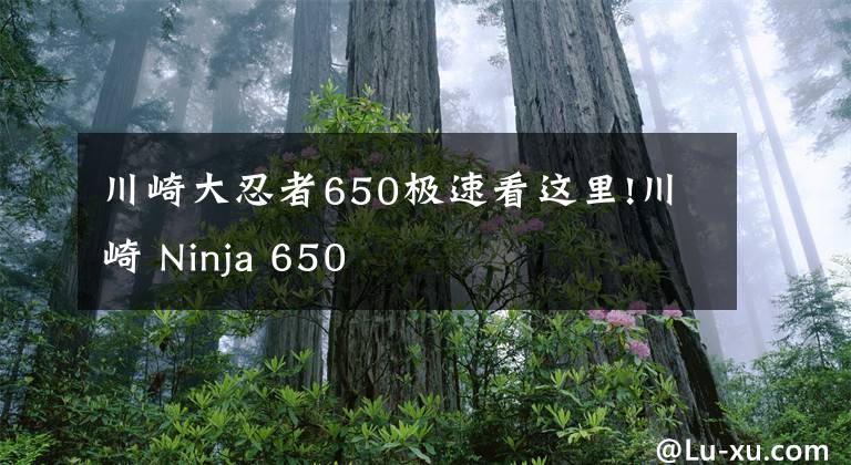 川崎大忍者650极速看这里!川崎 Ninja 650