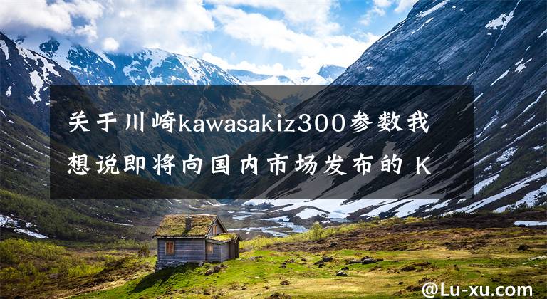 关于川崎kawasakiz300参数我想说即将向国内市场发布的 Kawasaki Versys-X 300