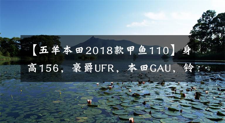 【五羊本田2018款甲鱼110】身高156，豪爵UFR，本田GAU，铃木U，山河旭鹰，怎么选？