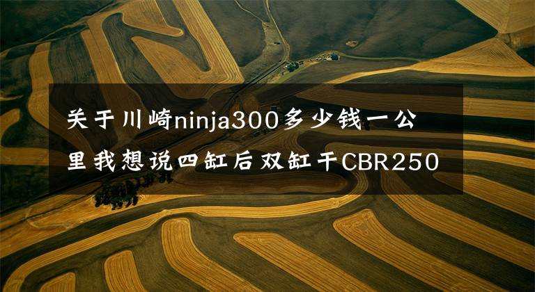 关于川崎ninja300多少钱一公里我想说四缸后双缸干CBR250RR-YZF R3 Ninja300