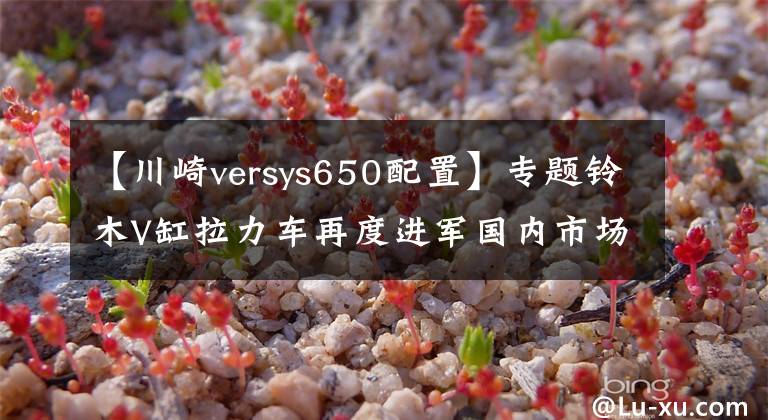 【川崎versys650配置】专题铃木V缸拉力车再度进军国内市场 全新DL650或于10月引进