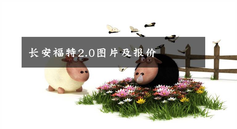 长安福特2.0图片及报价