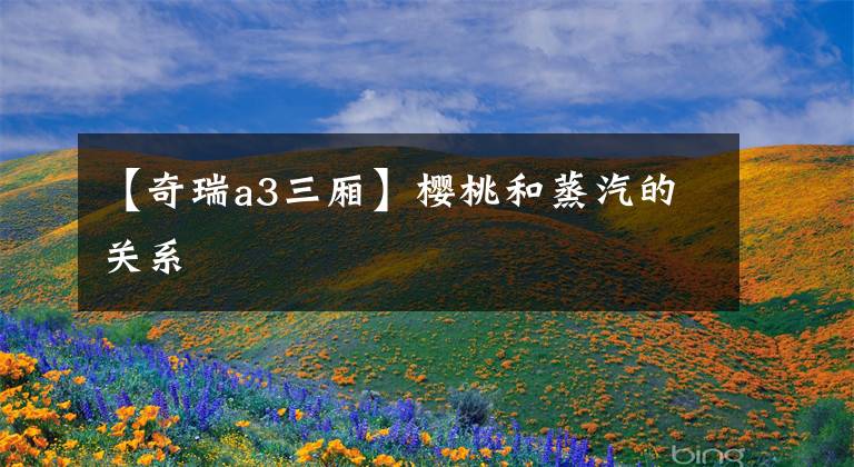 【奇瑞a3三厢】樱桃和蒸汽的关系