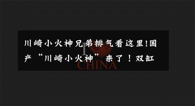 川崎小火神兄弟排气看这里!国产“川崎小火神”来了！双缸八气门引擎，颜值也不差，售2万多