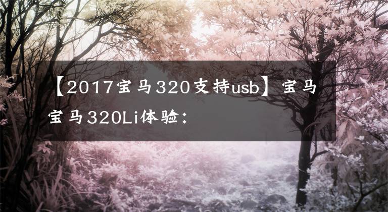 【2017宝马320支持usb】宝马宝马320Li体验：